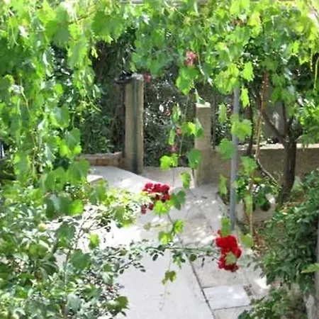 Tatil Evi House Antun *